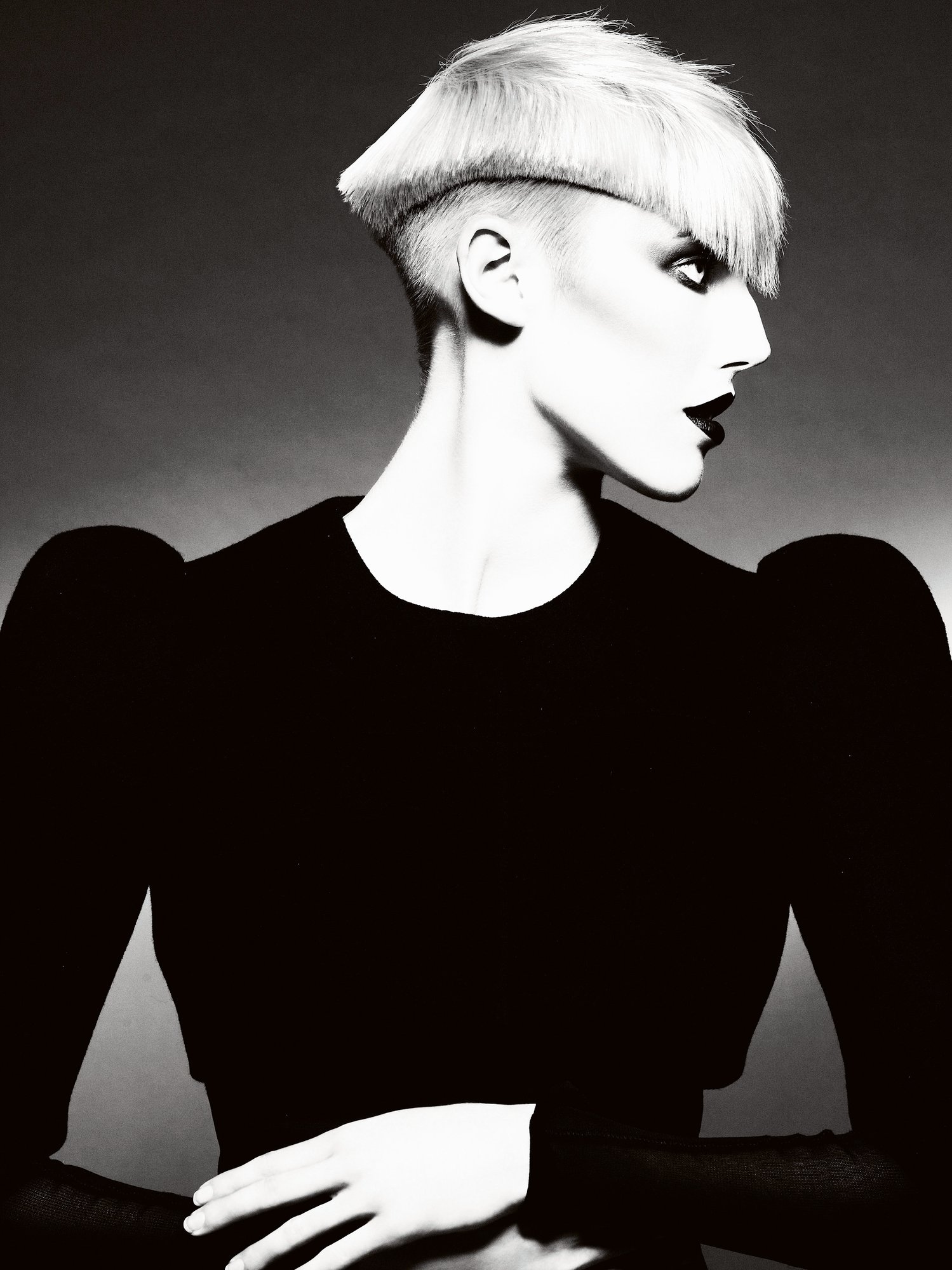2009 British Hairdresser of the Year Collection