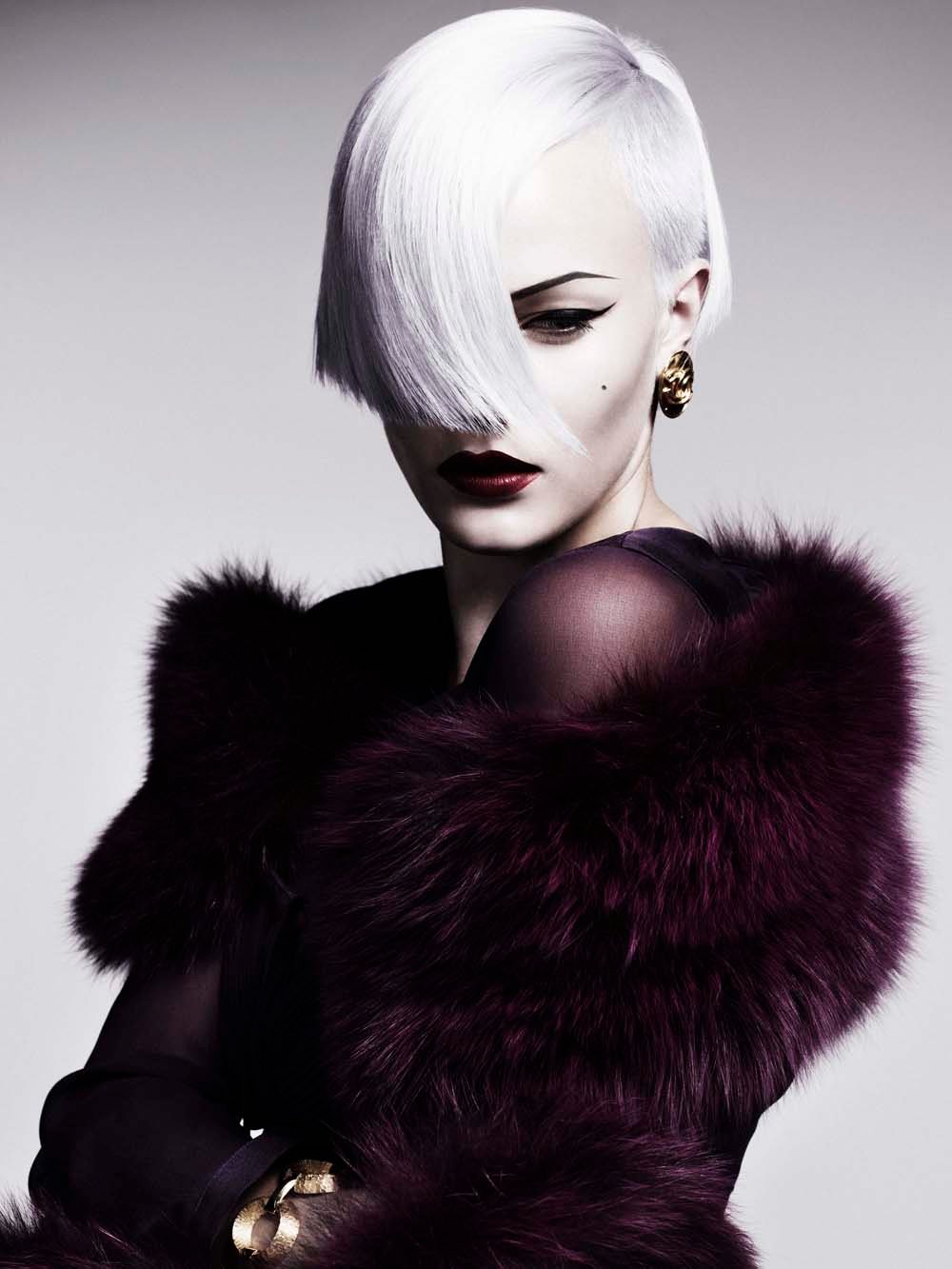 2011 British Hairdresser of the Year Collection