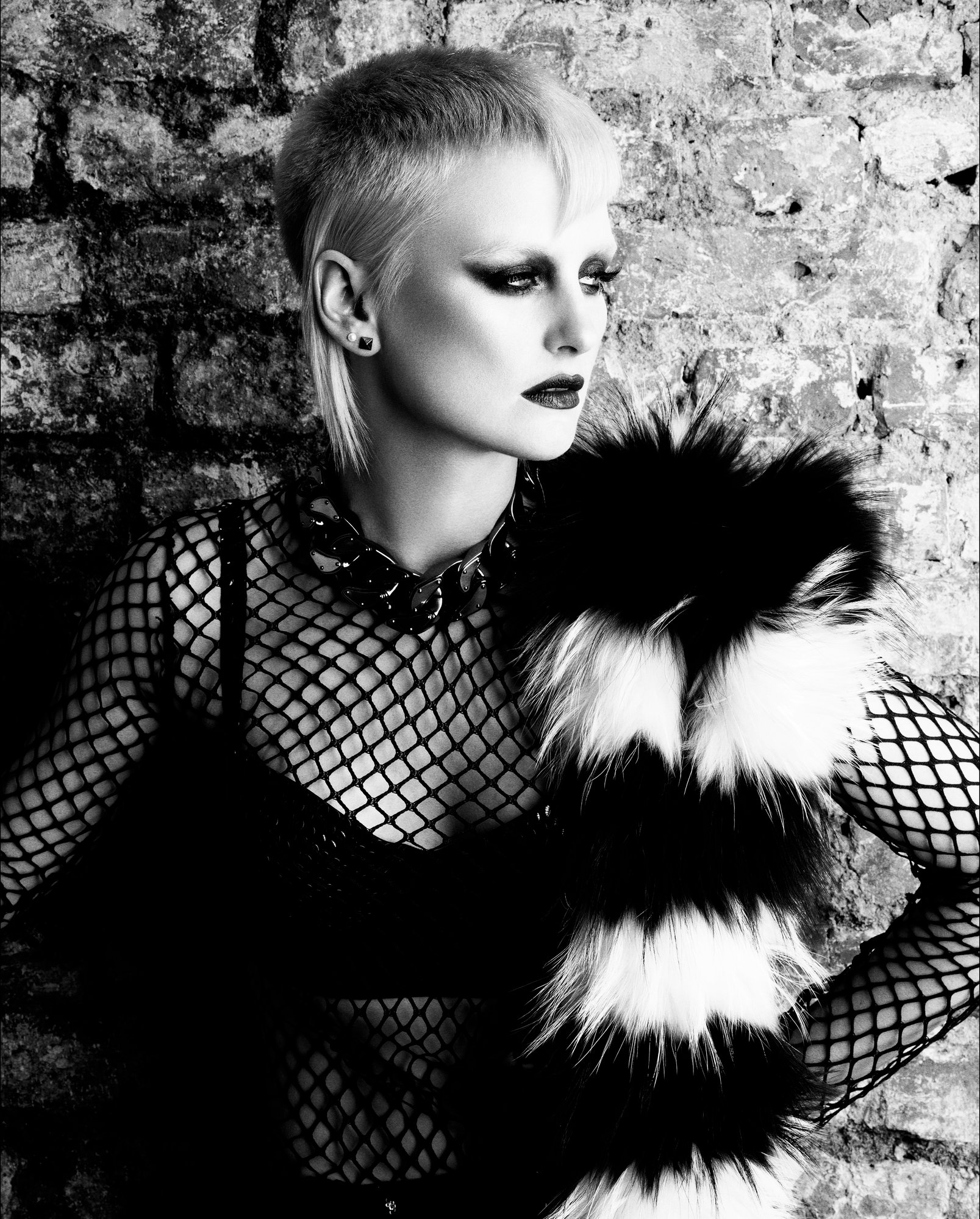 2014 Newcomer of the Year Finalist Collection