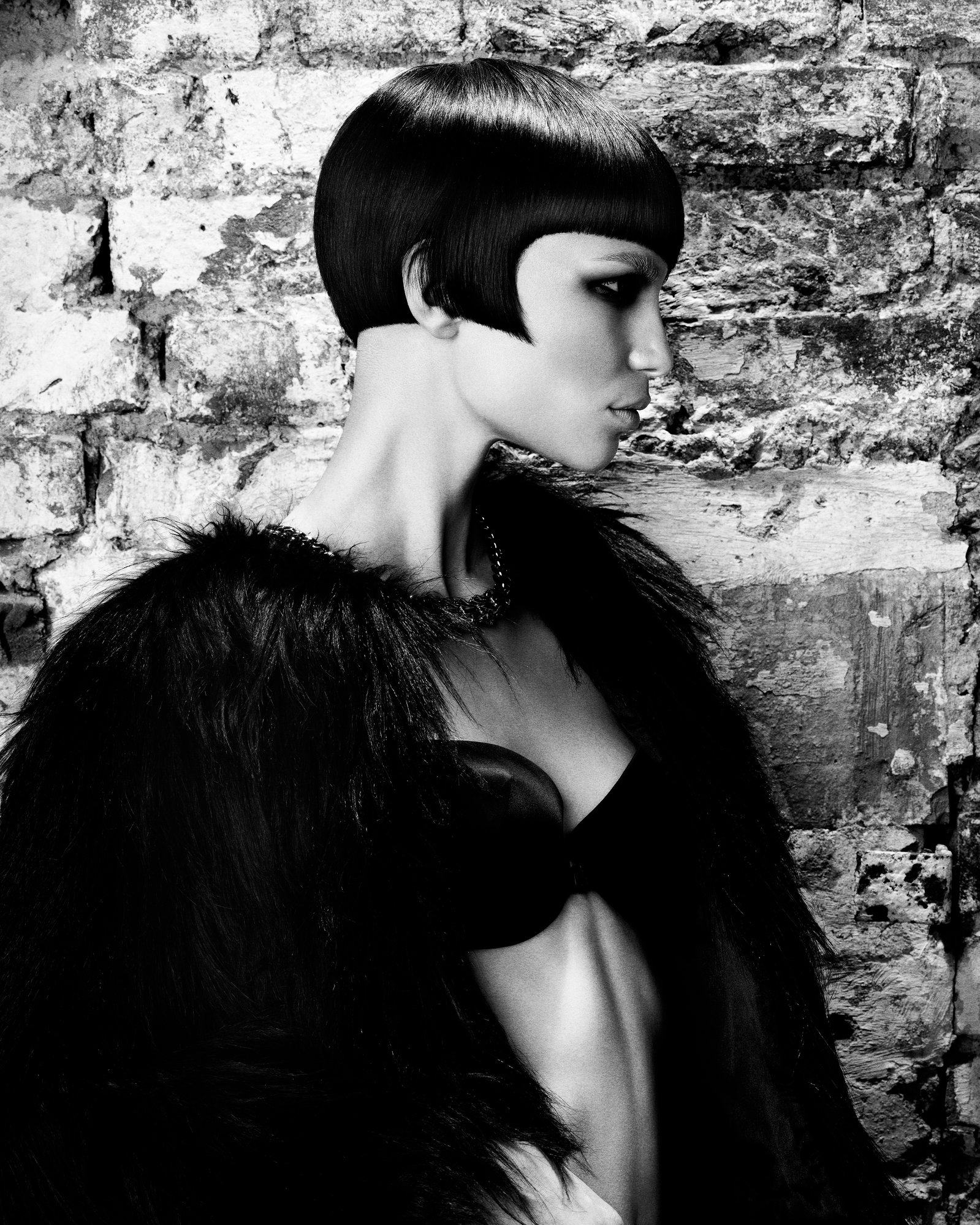 2014 Newcomer of the Year Finalist Collection