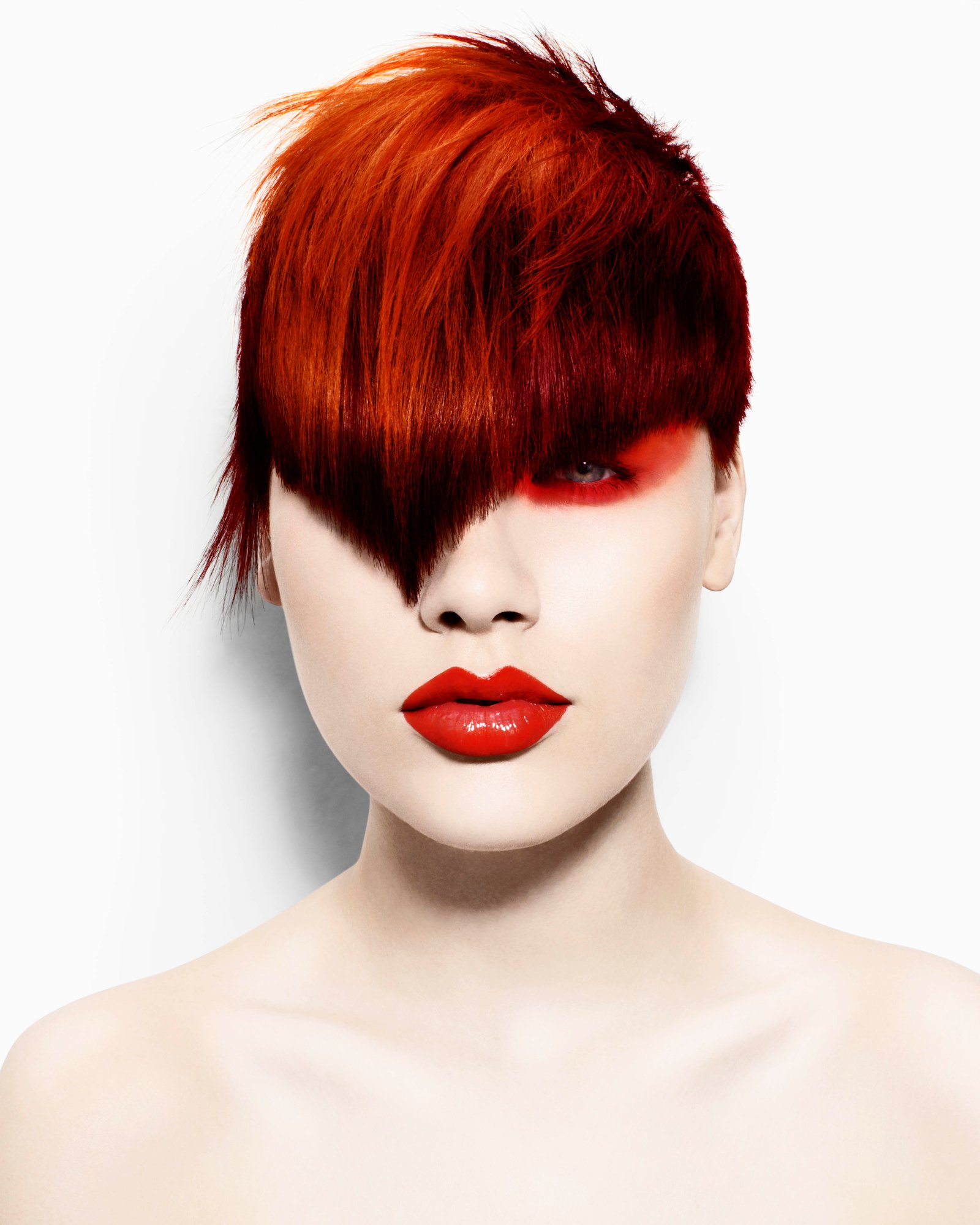 2009 Artistic Team of the Year Collection