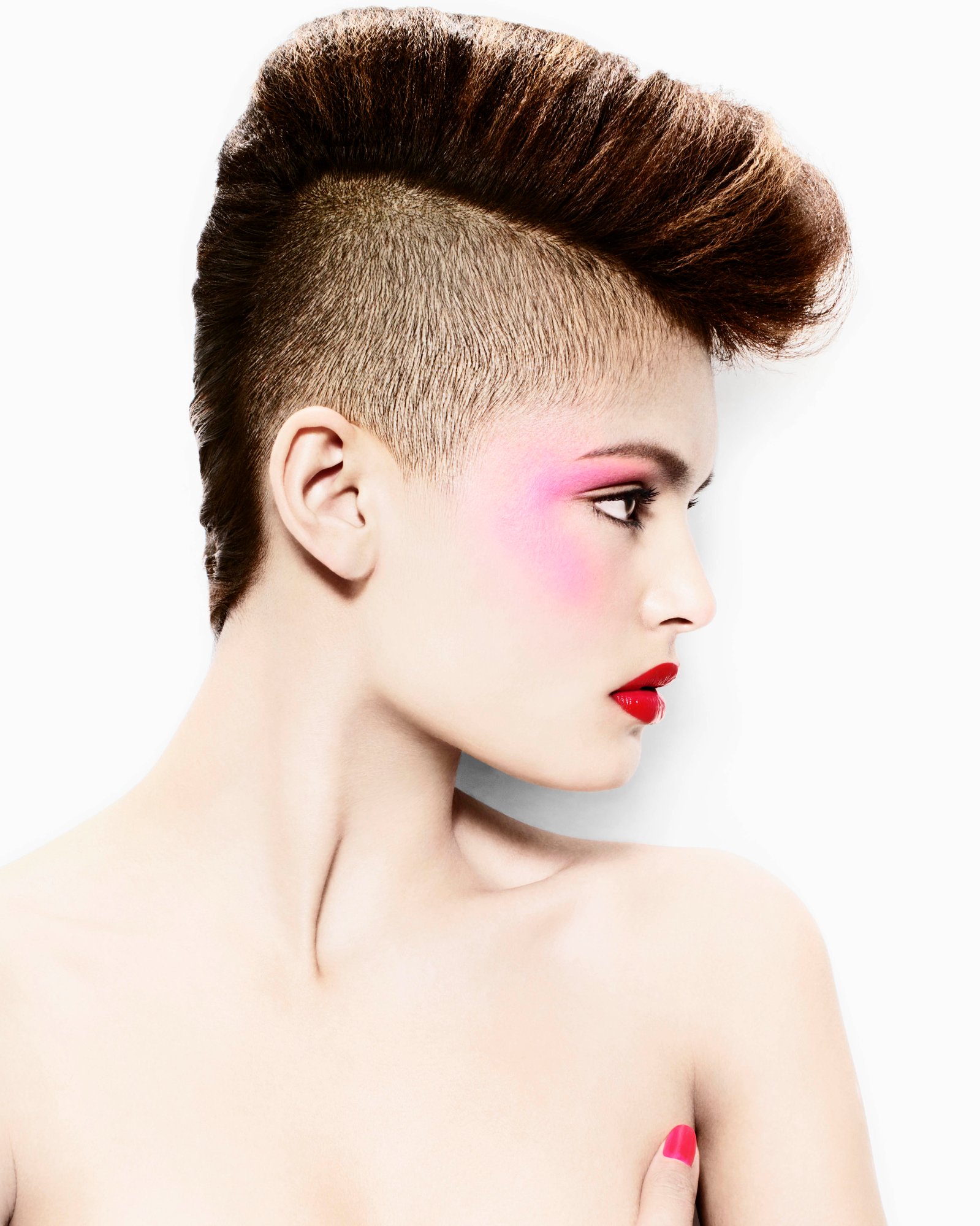 2009 Artistic Team of the Year Collection