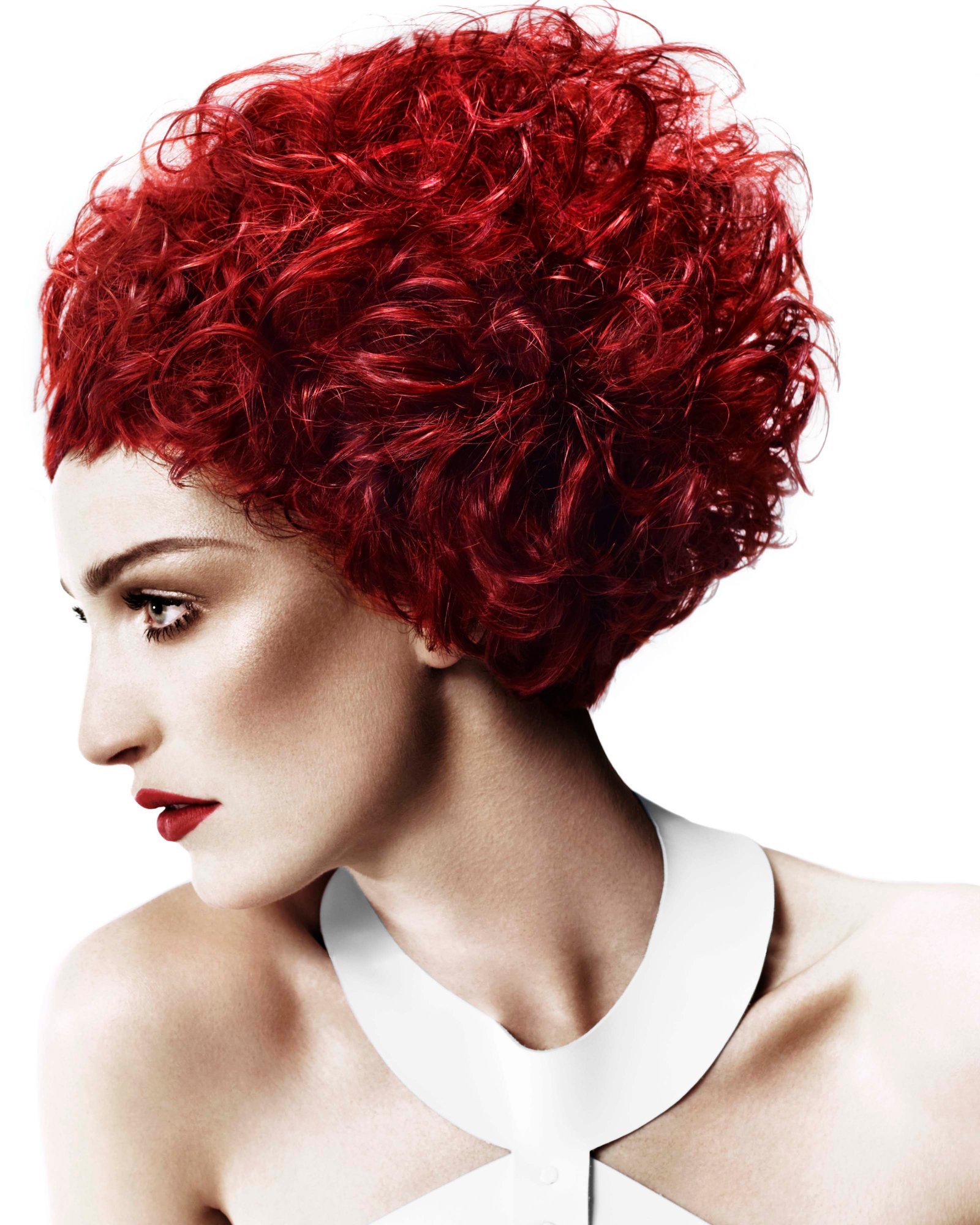 2011 Artistic Team of the Year Collection