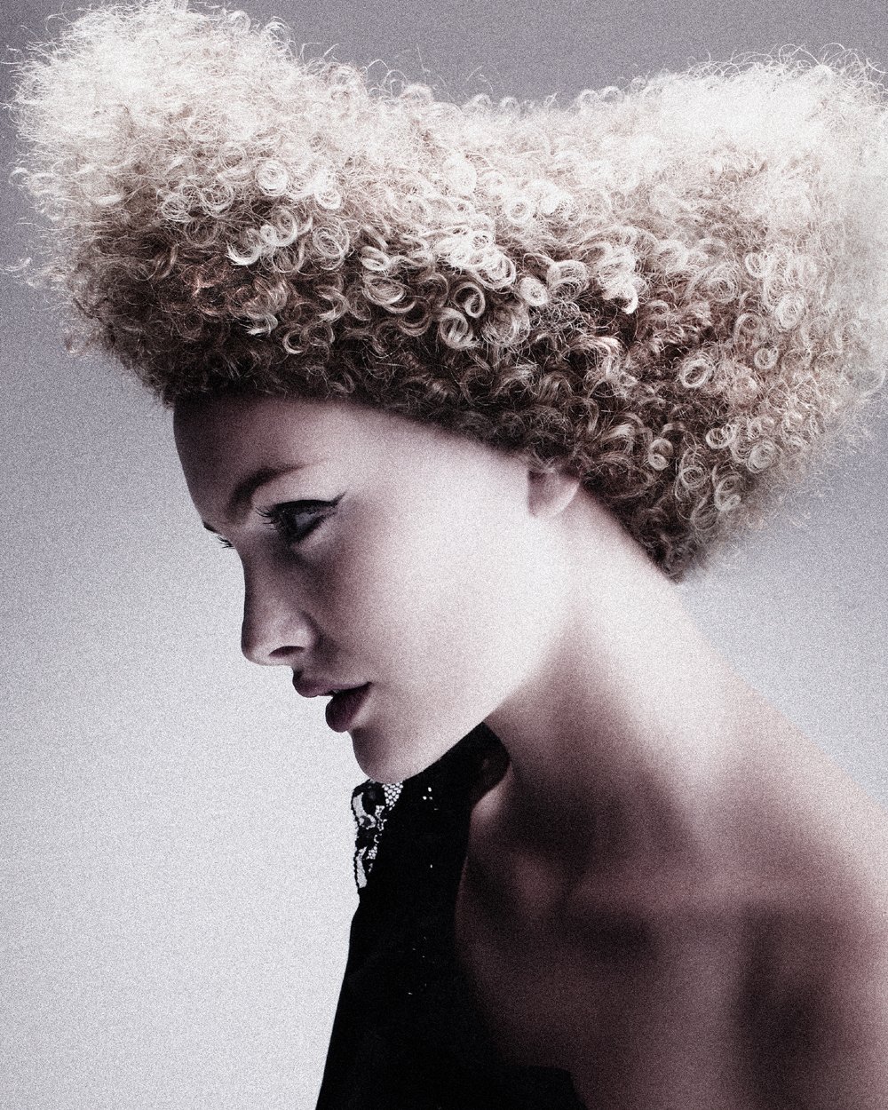 2008 Artistic Team of the Year Collection