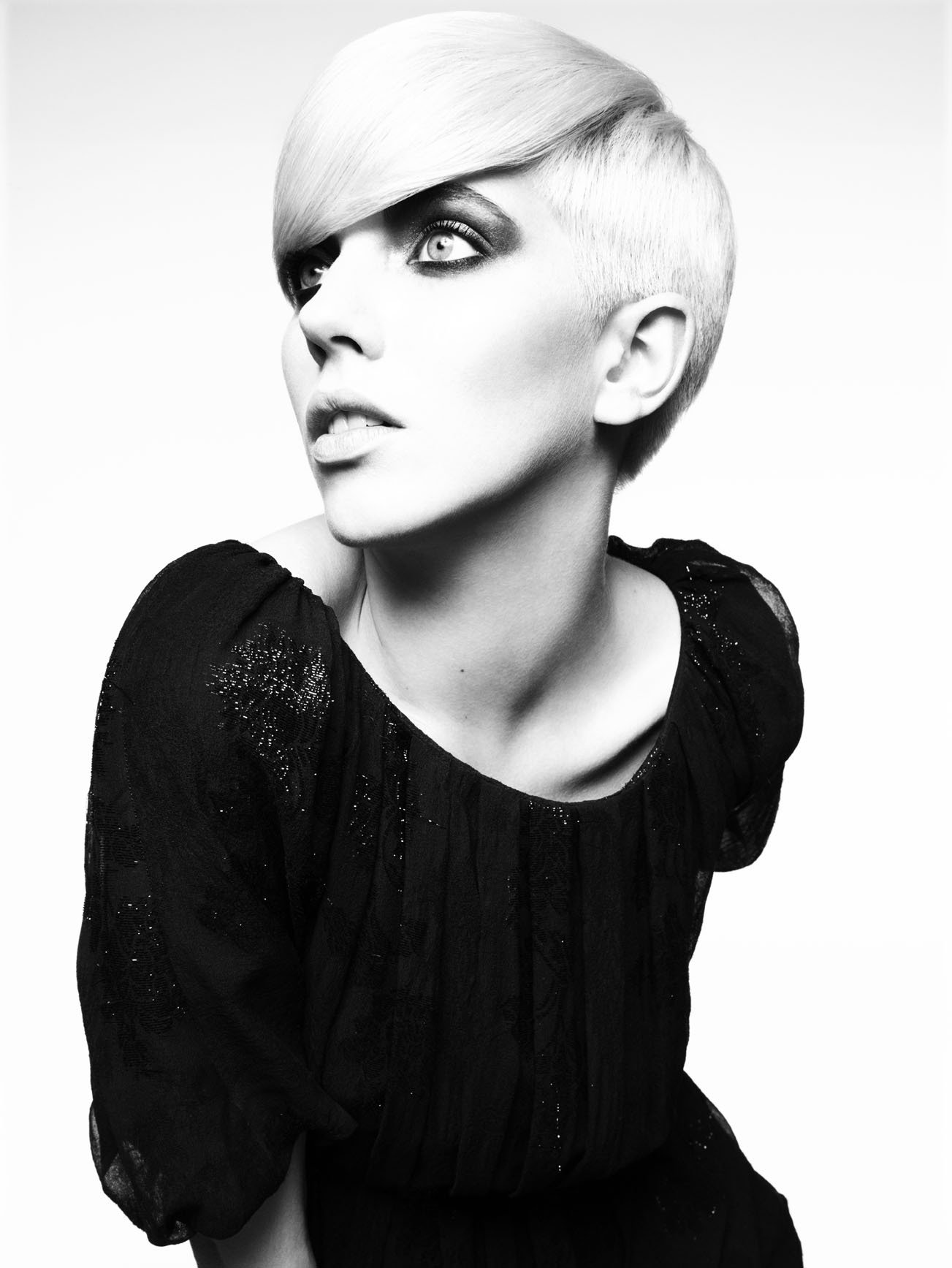 2008 British Hairdresser of the Year Collection