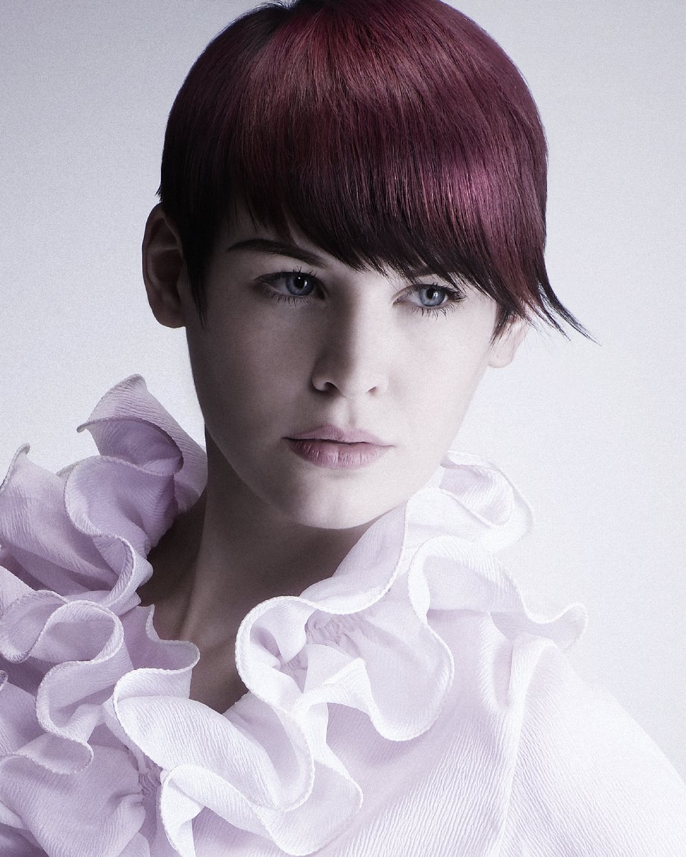 2008 British Colour Technician of the Year Collection