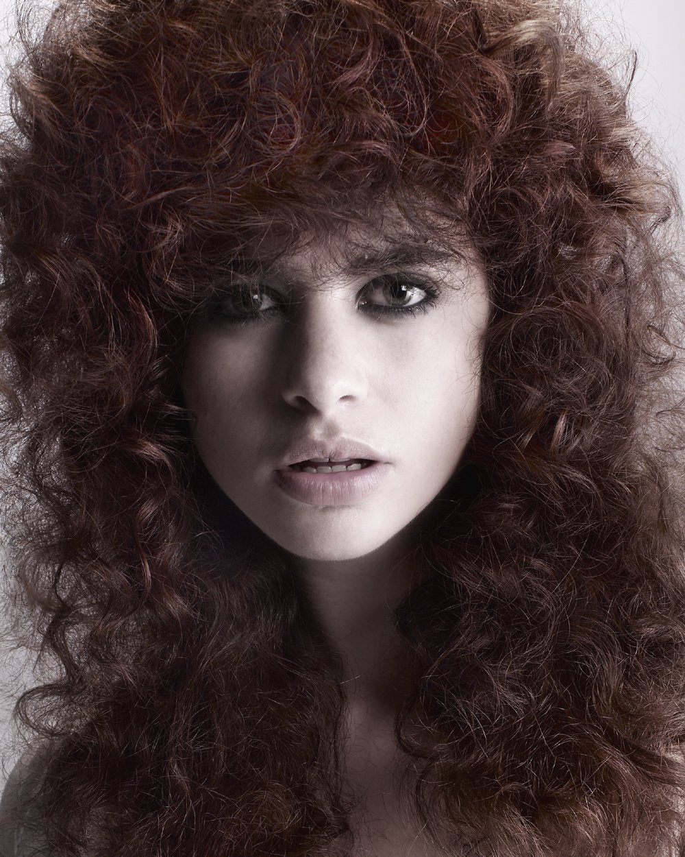 2008 British Colour Technician of the Year Collection